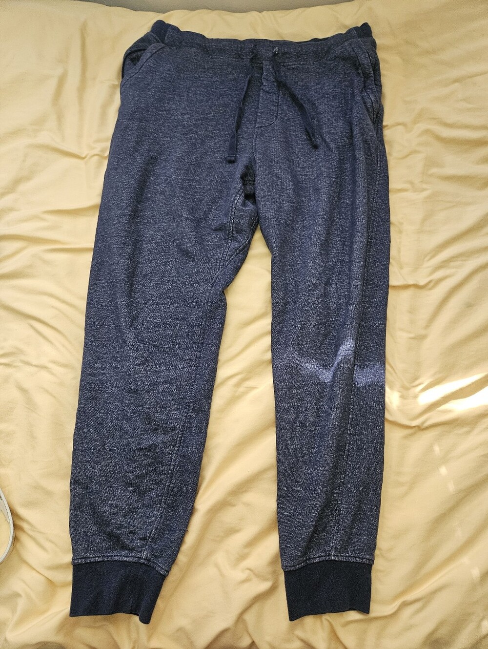 Patagonia Navy Organic Cotton Joggers - Women's L